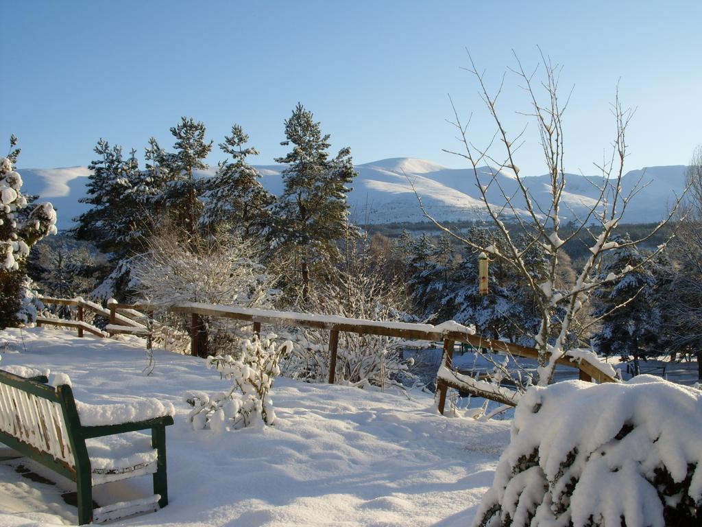Cairngorm Lodge Youth Hostel Loch Morlich Extérieur photo